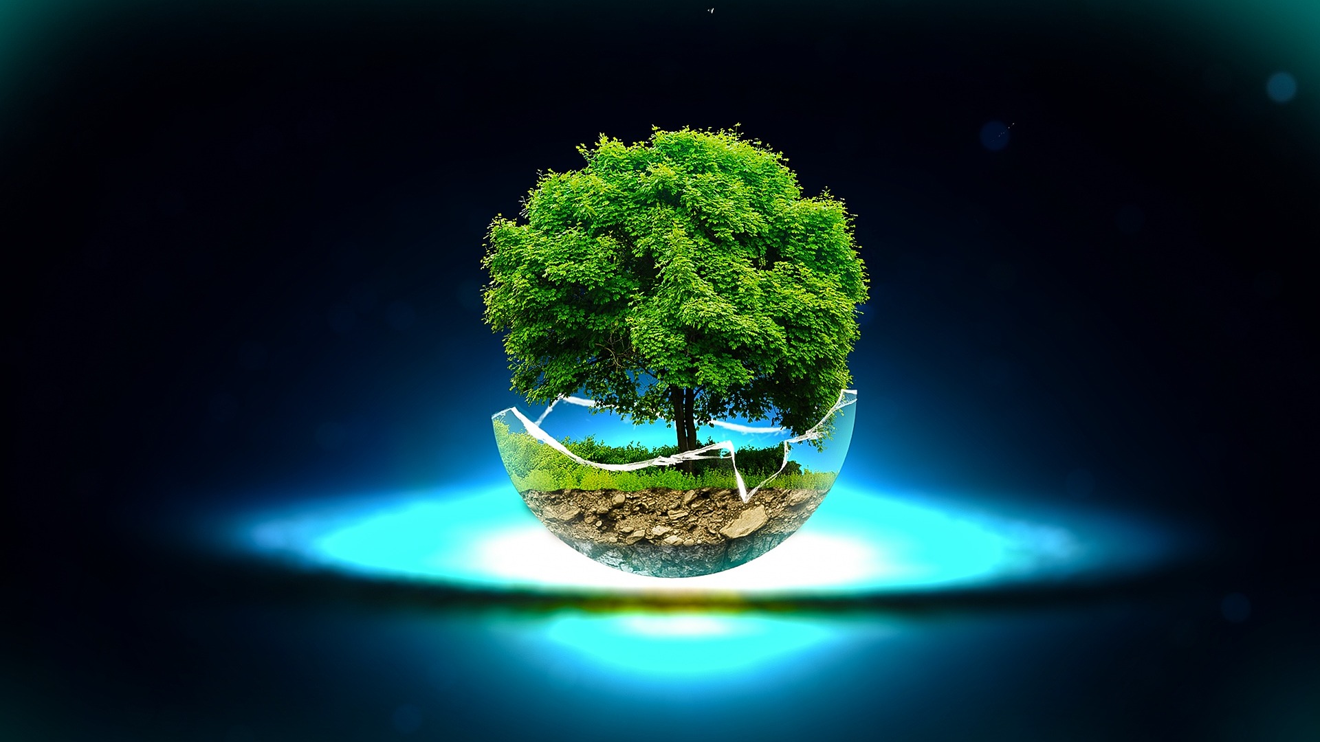 Tree In A Glass Bowl - HD Wallpaper 
