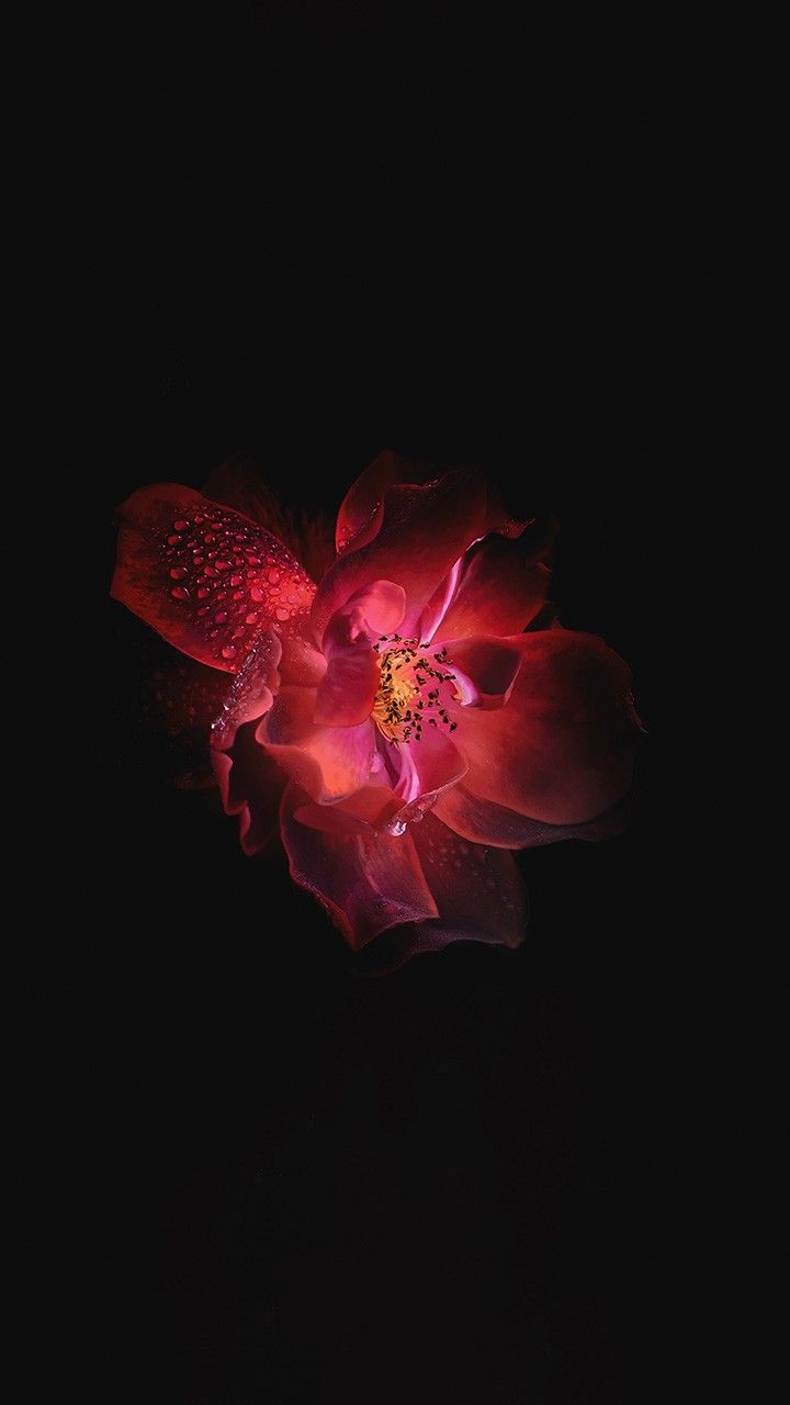 Iphone Wallpaper Heart Hd Beat - HD Wallpaper 