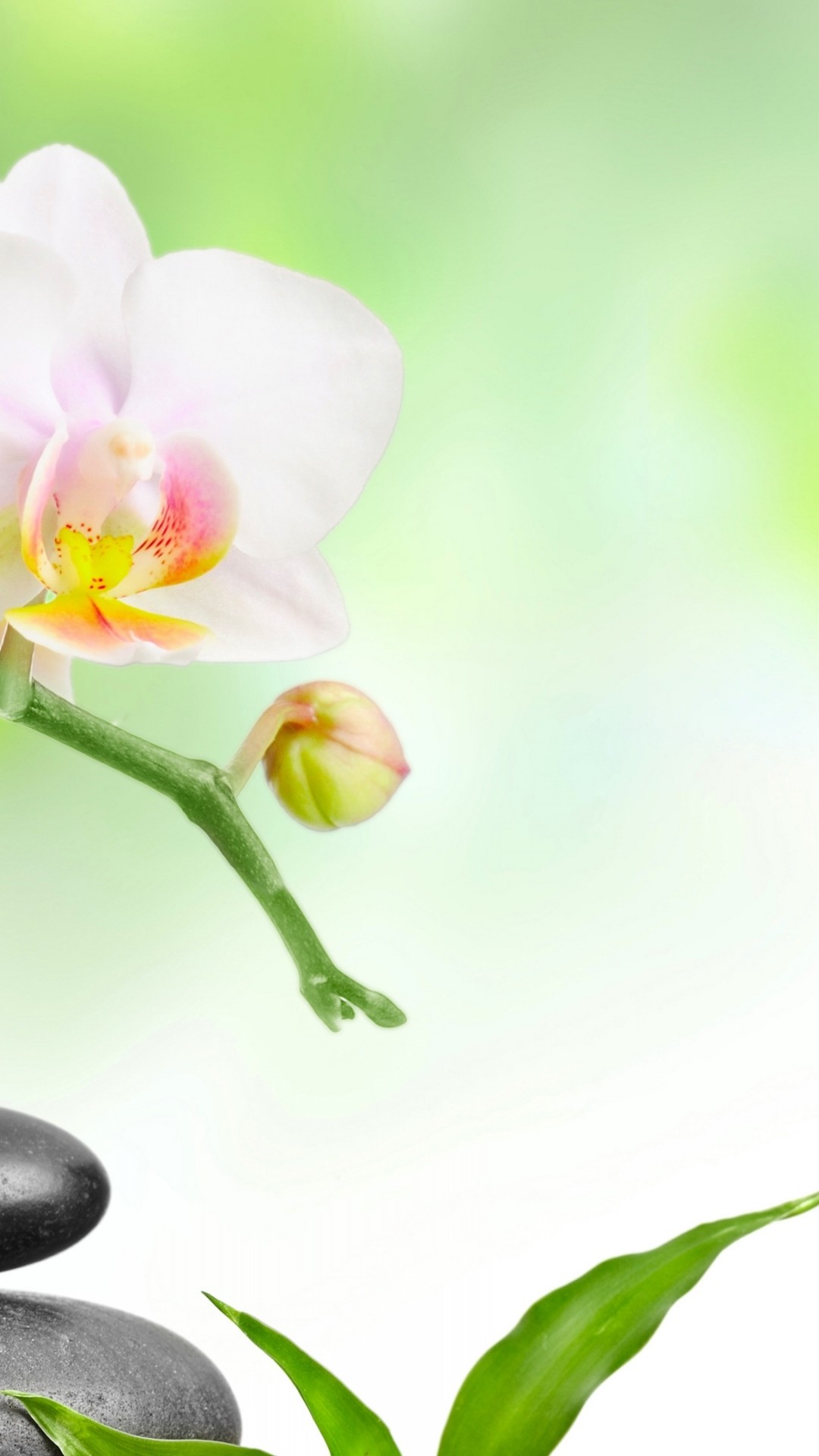 Iphone Spa Wallpaper Hd - HD Wallpaper 