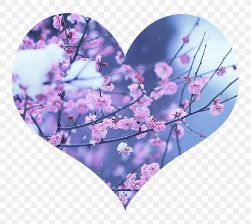 Desktop Wallpaper Desktop Environment Computer Wallpaper, - HD Wallpaper 