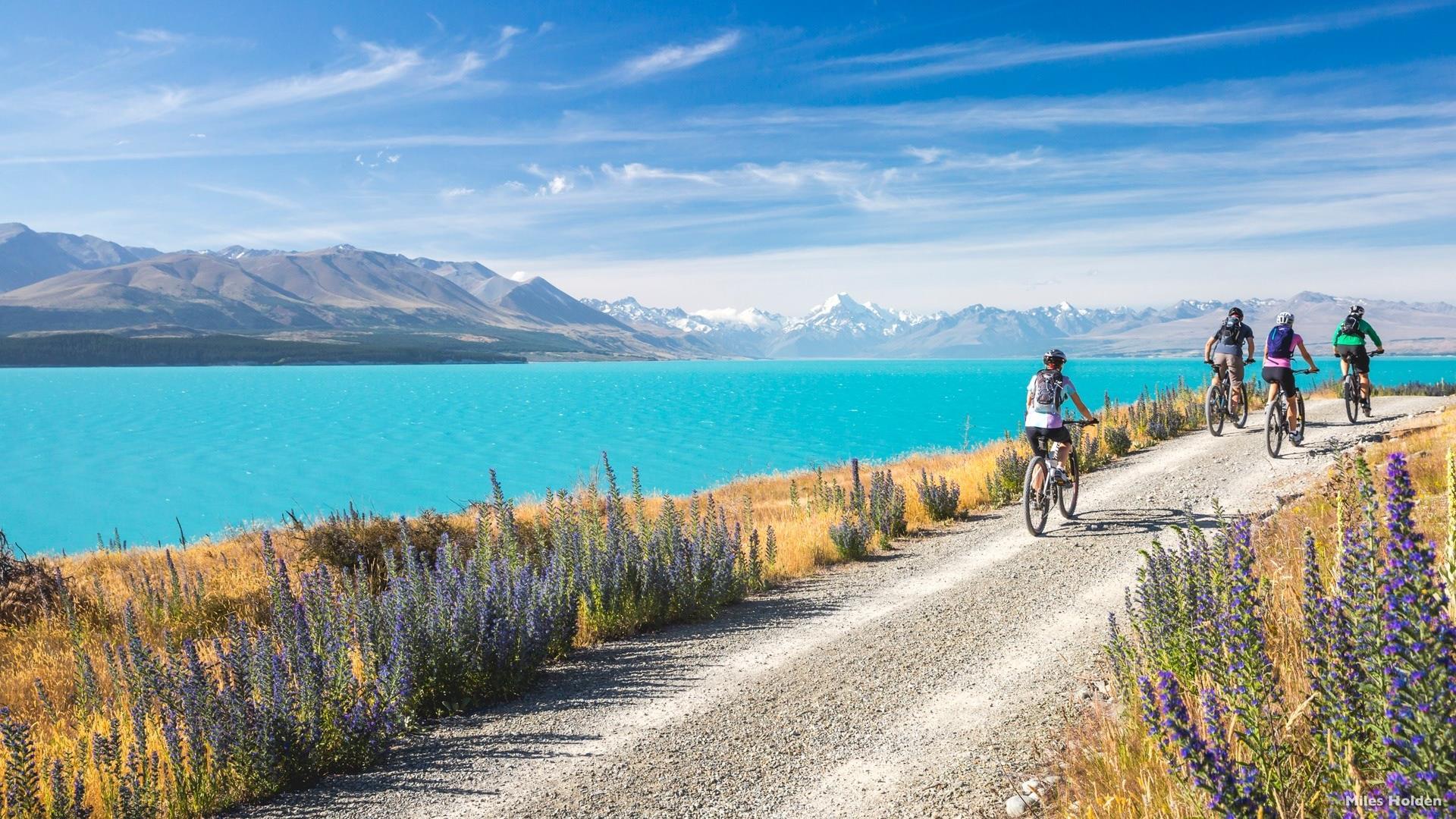 New Zealand Tourism - HD Wallpaper 