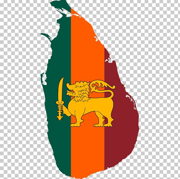 Island Country Economy Map Png, Clipart, Computer Wallpaper, - Blood Glucose Meter Png - HD Wallpaper 