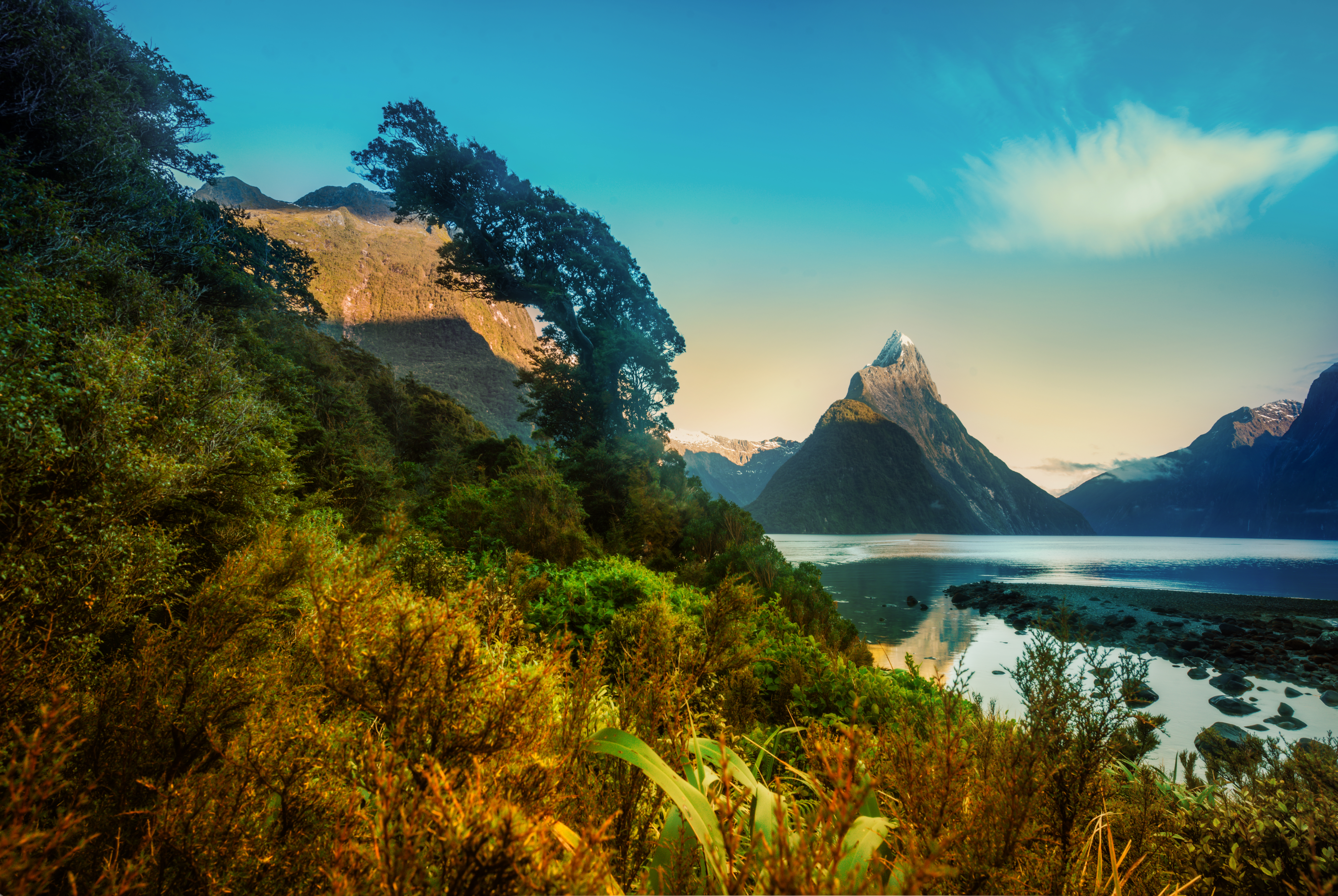 New Zealand Hd Wallpaper - HD Wallpaper 