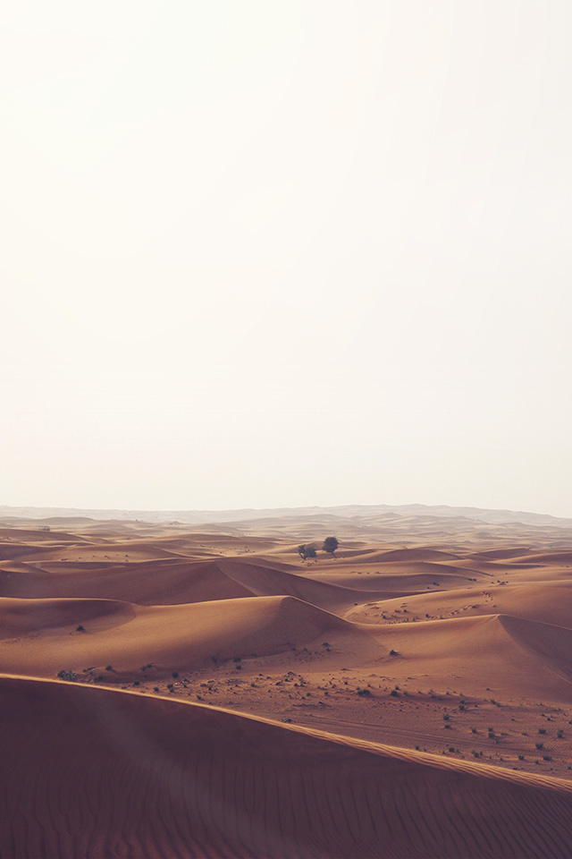 Iphone 8 Wallpaper Desert - HD Wallpaper 