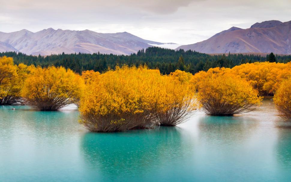 South Island, New Zealand Wallpaper,forest Hd Wallpaper,landscape - Desktop Wallpaper Bing Wallpaper Download - HD Wallpaper 