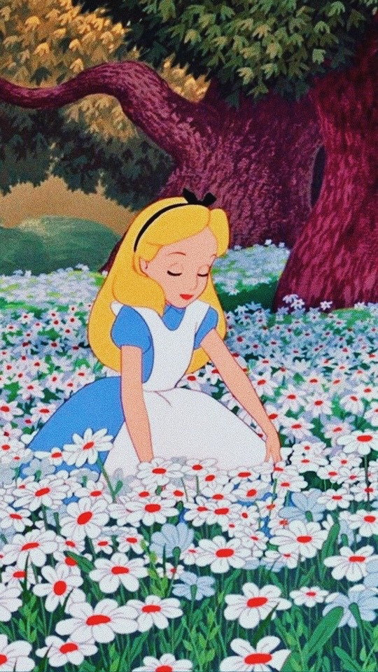 Alice In Wonderland Field - HD Wallpaper 