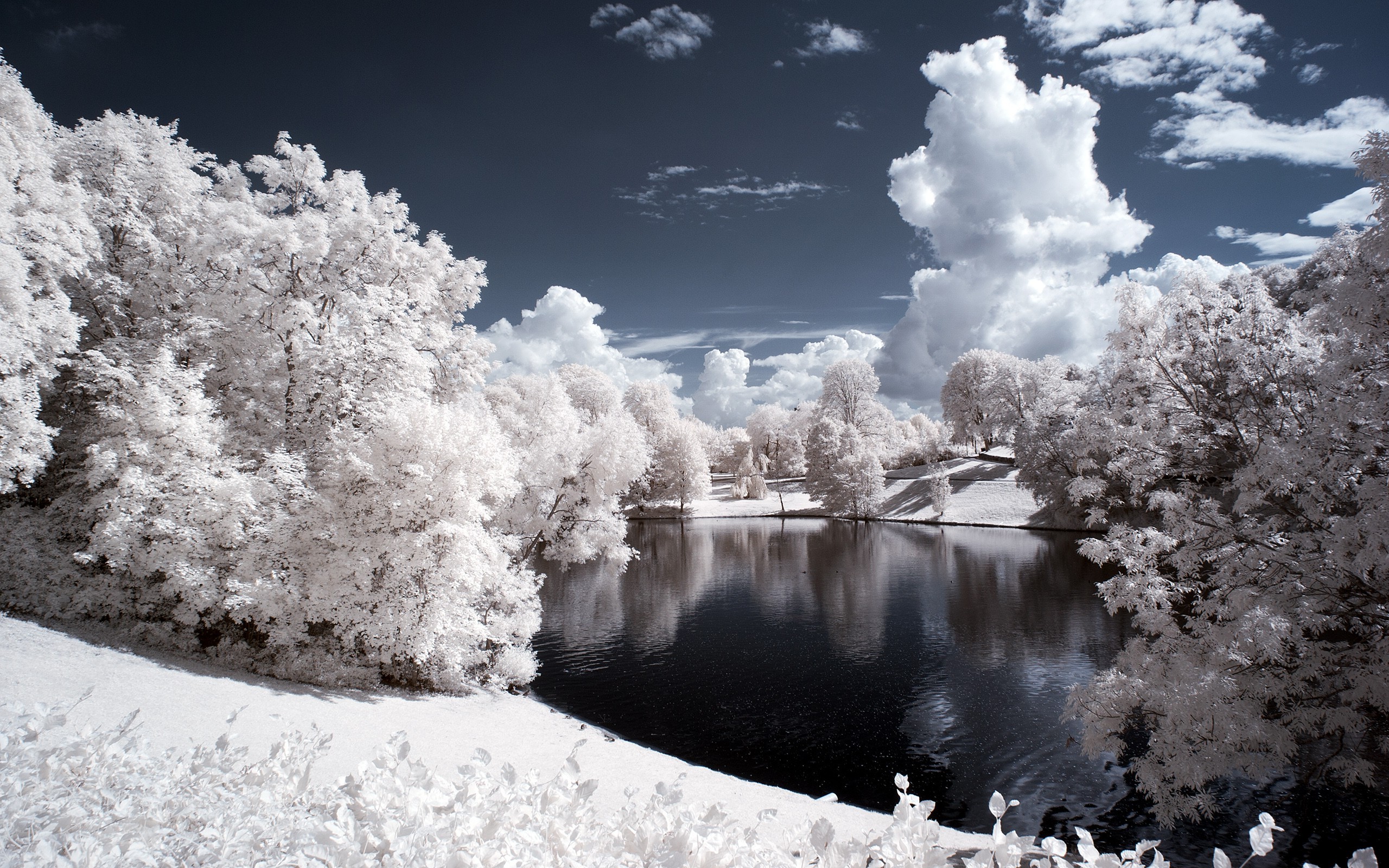 Background Image Nature Winter - HD Wallpaper 
