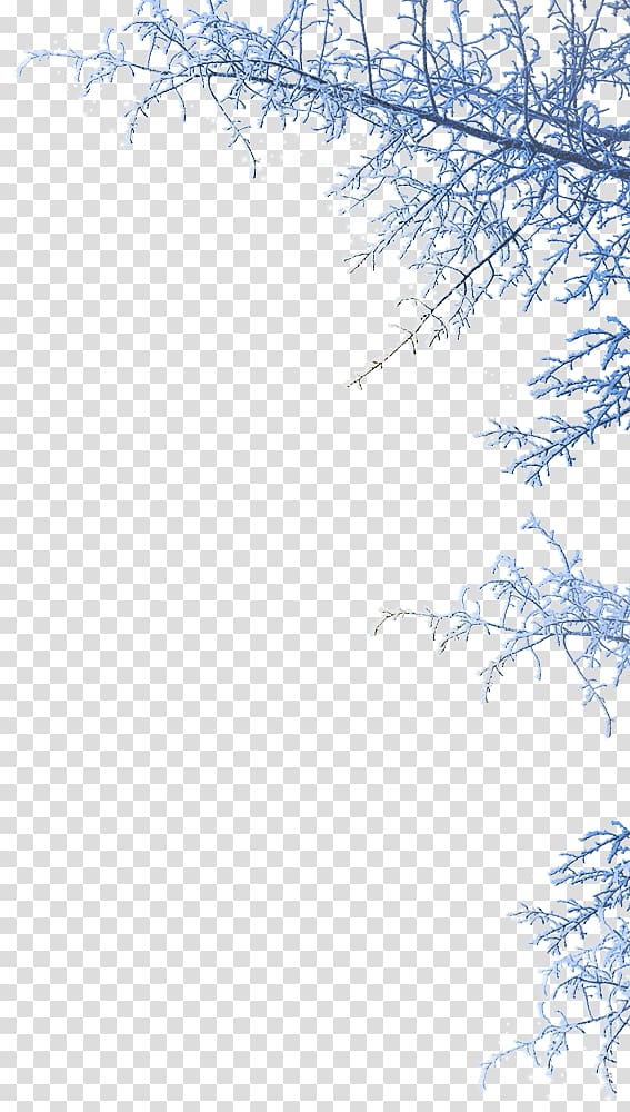 Hyde Park Winter Wonderland Desktop , Winter Transparent - Winter Wonderland Background Png - HD Wallpaper 