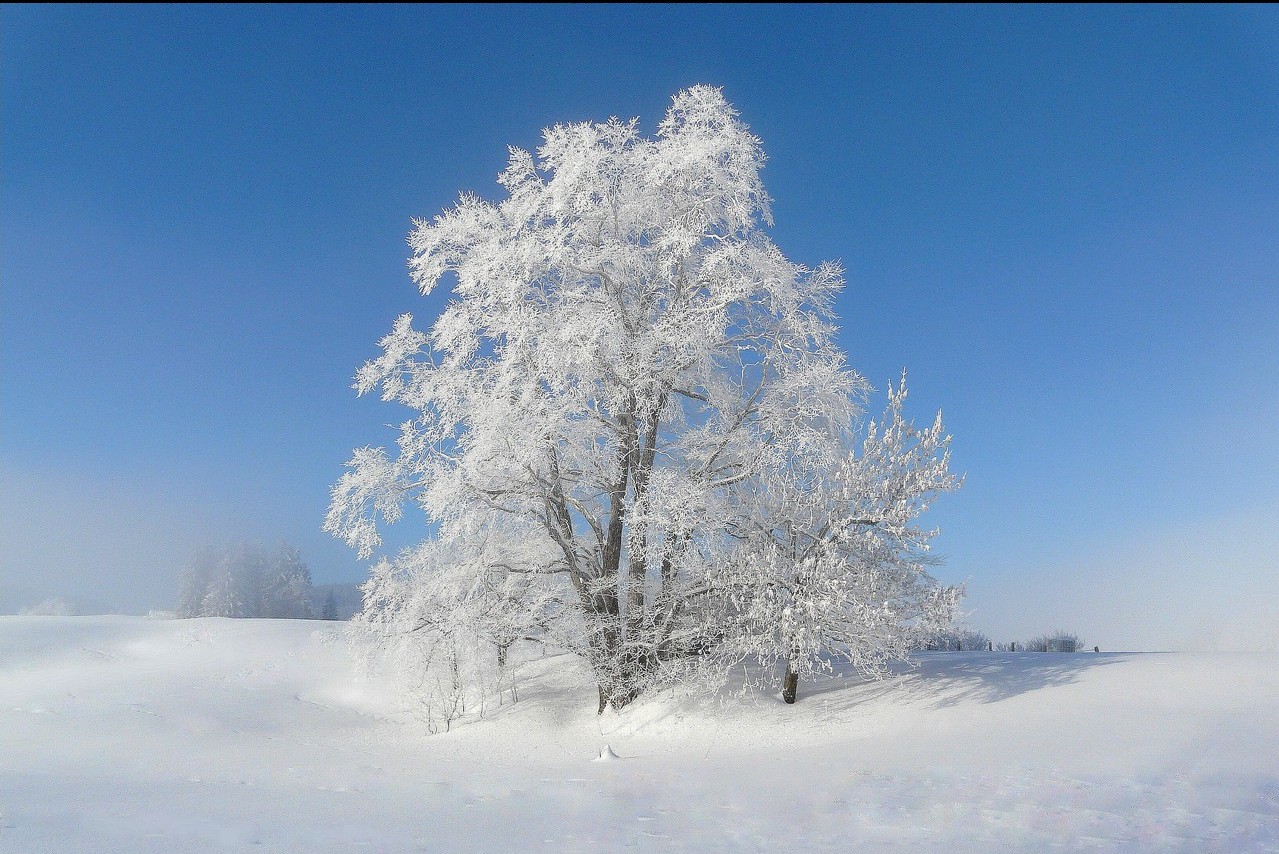 Desktop Wallpaper Hd Winter Wonderland - Snow - HD Wallpaper 