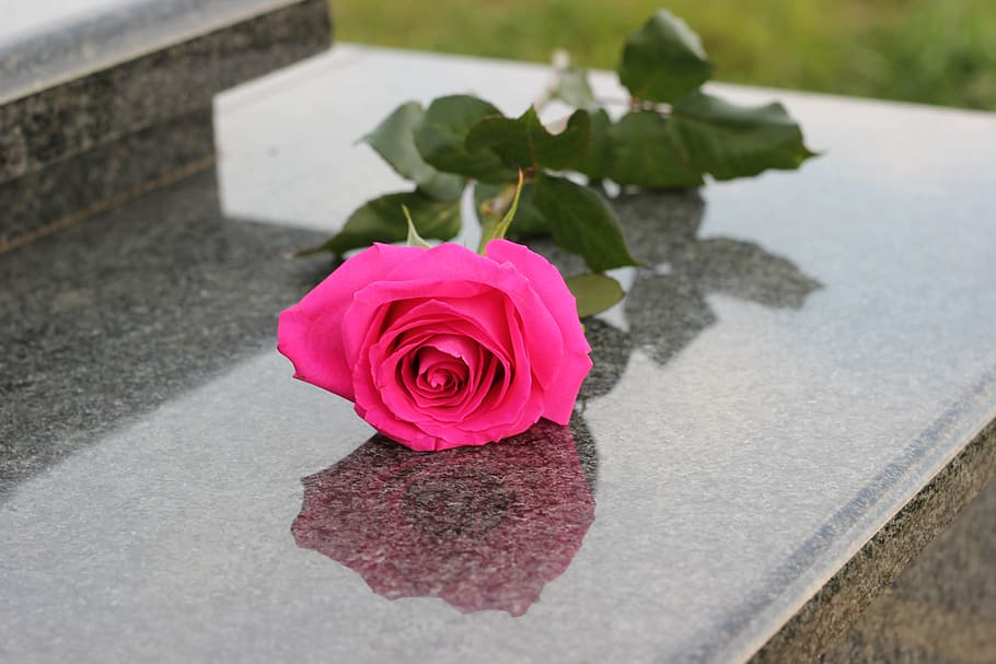 Roses On A Grave - HD Wallpaper 