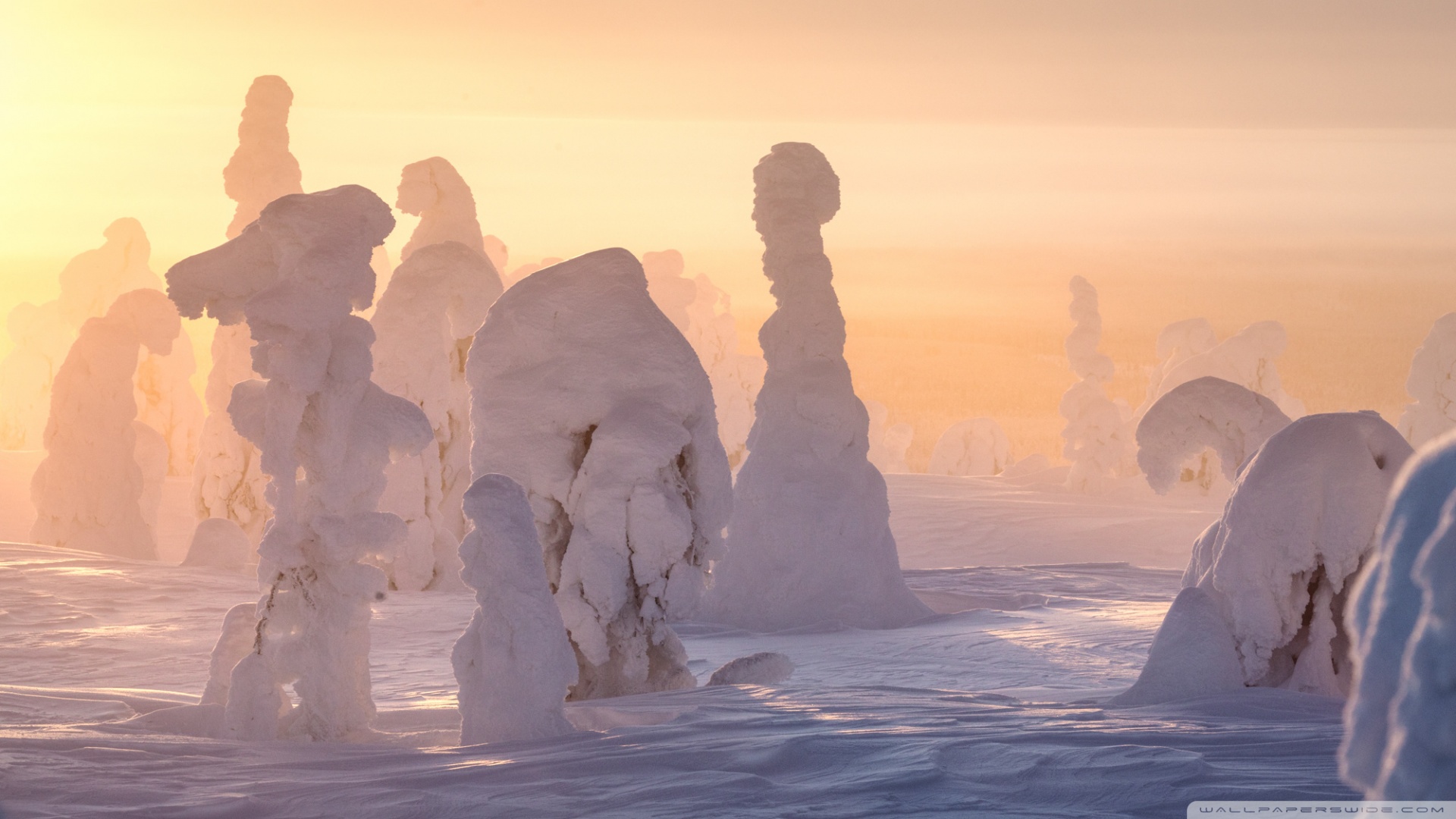 Ultra-high-definition Television - HD Wallpaper 