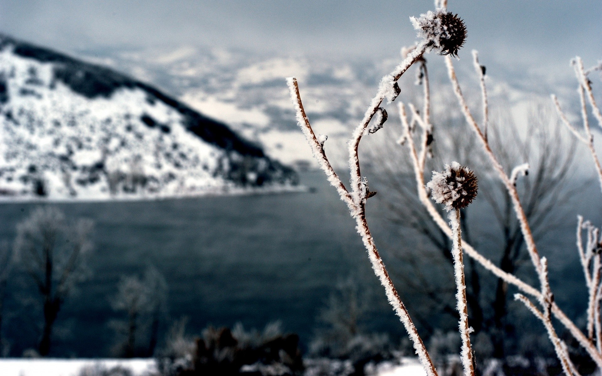 Winter Snow Frost Nature Outdoors Frozen Cold Sky Season - Winter Wonderland Wallpaper Mountain - HD Wallpaper 