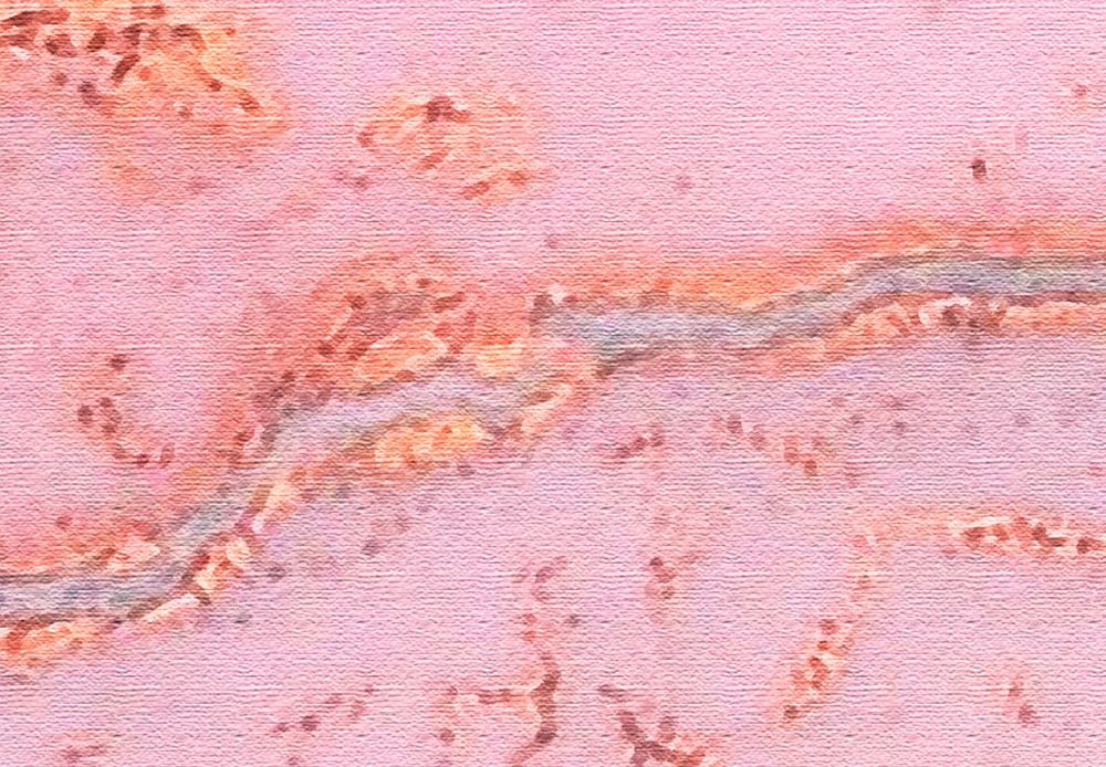 Pink Marble 3d Photo Mural Wallpaper Wall Paper Papers - Visual Arts - HD Wallpaper 