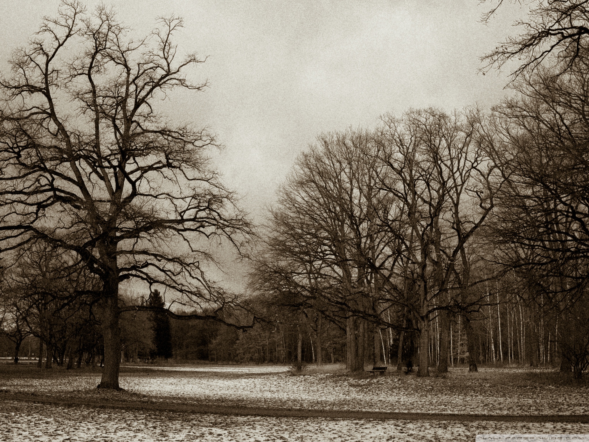 Mobile Phone - HD Wallpaper 