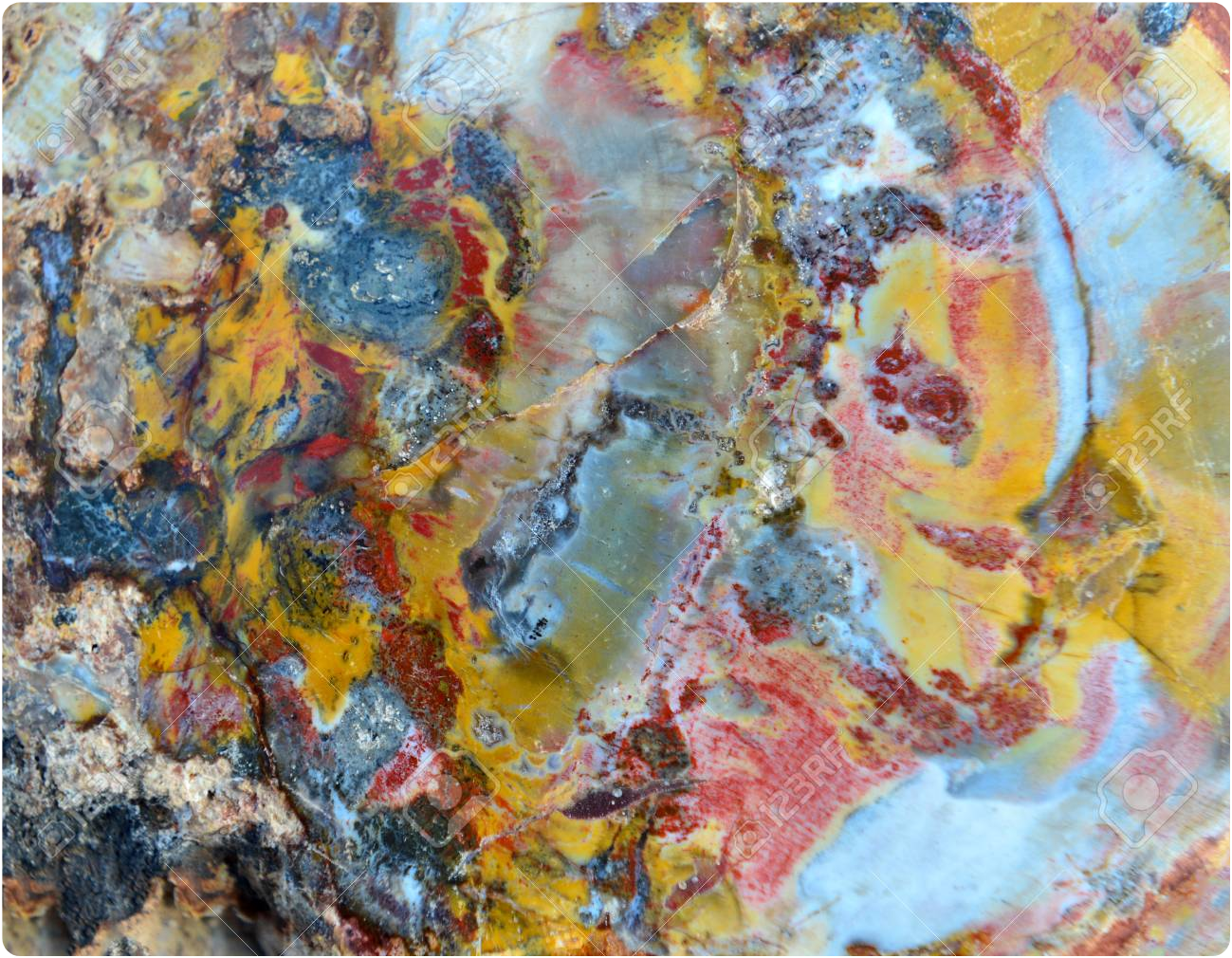 #wallpaper #background #backdrop #stone #marble #yellow - Petrified Trees Semi Precious Stones - HD Wallpaper 