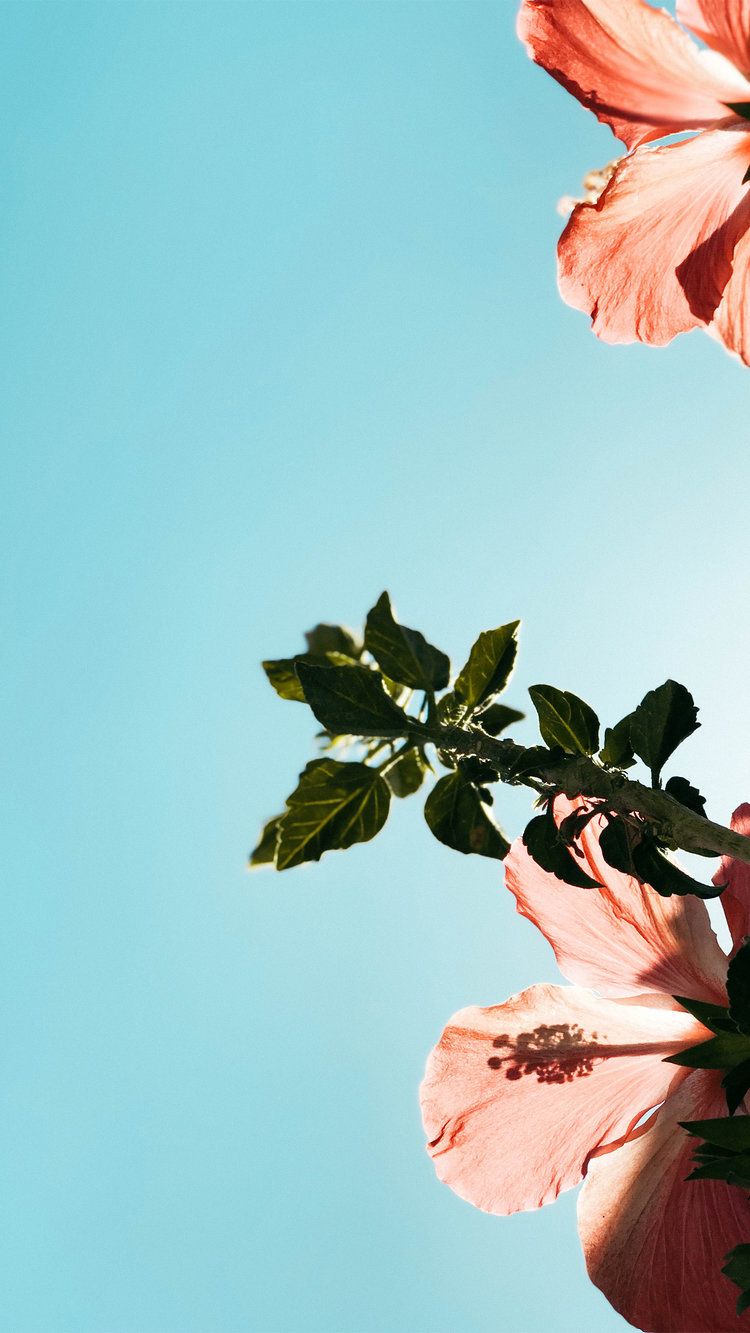 Pesan Ayah Kepada Calon Suami Putrinya - HD Wallpaper 