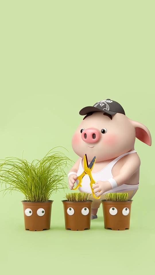 Wallpaper 307 - HD Wallpaper 