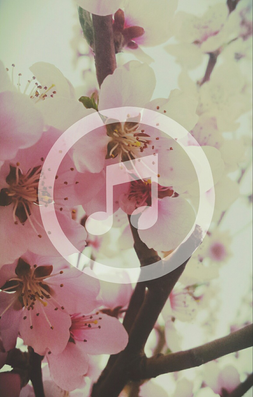 Beautiful, Beautiful Cute, Cute - Cute Iphone Wallpaper Music - HD Wallpaper 