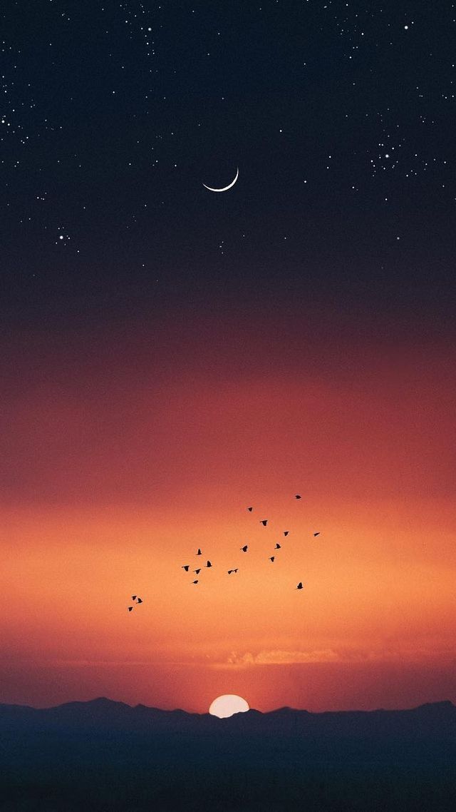 Flock - HD Wallpaper 