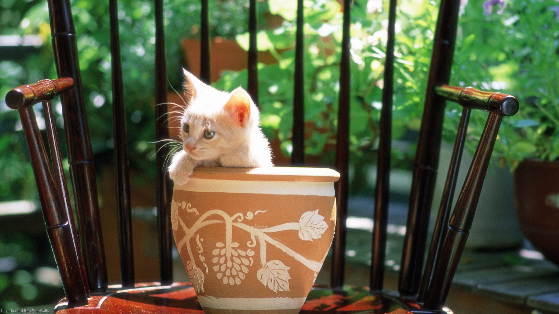 Best Cute Background Id - Hd Cute Wallpapers For Pc - HD Wallpaper 