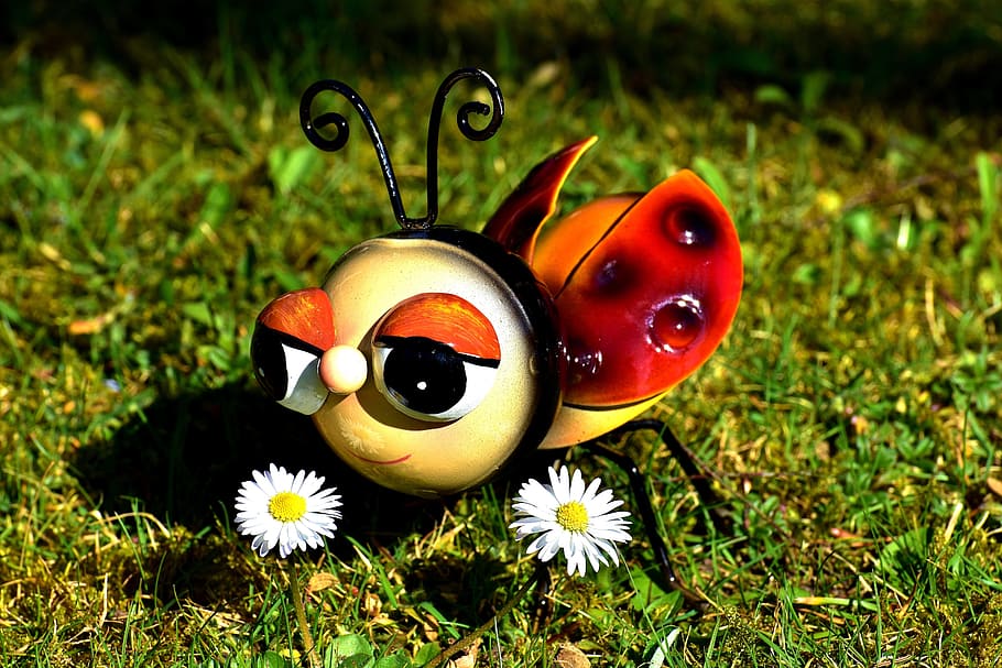 Ladybug, Sheet, Colorful, Cute, Figure, Funny, Daisy, - Camomile - HD Wallpaper 