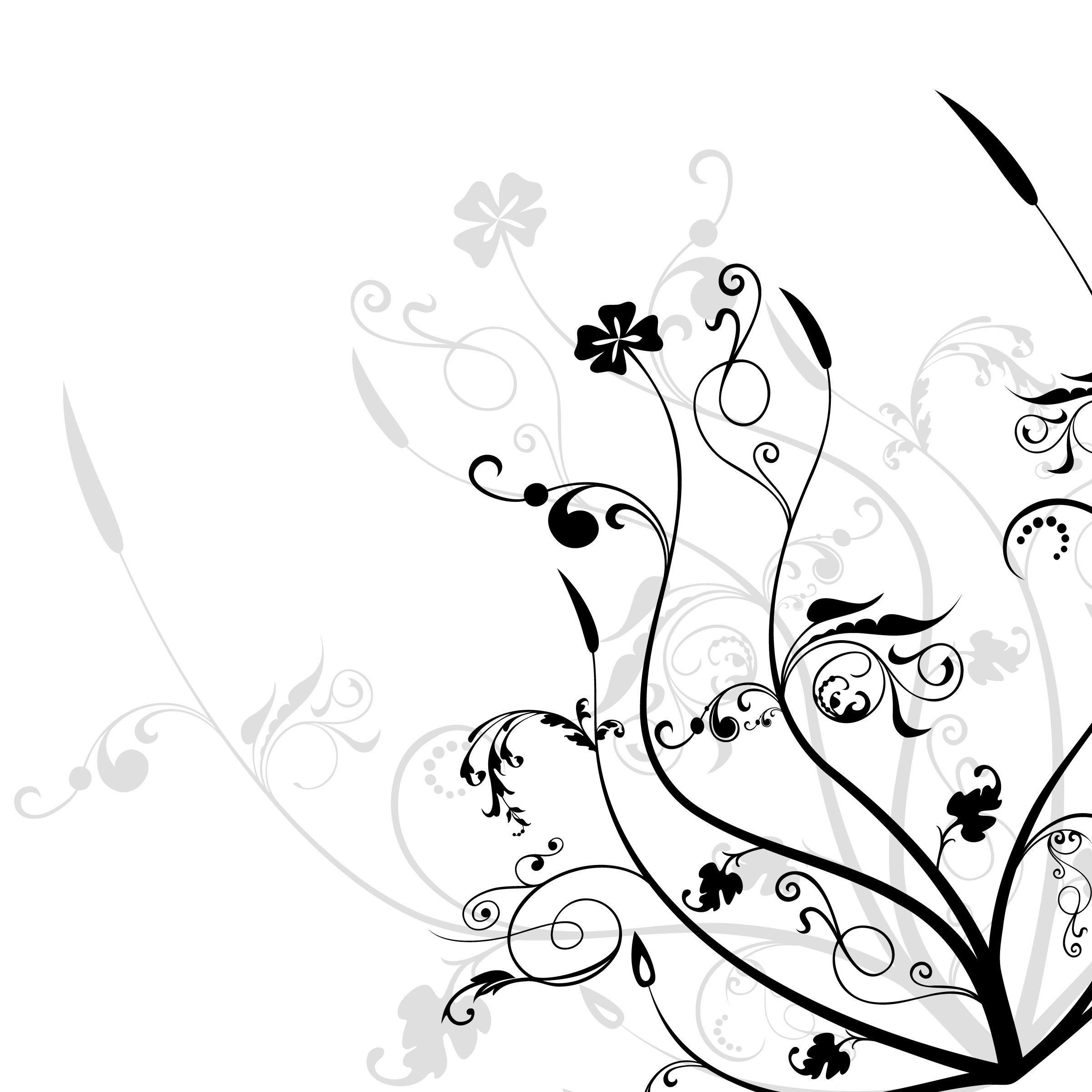 Flower Black And White Design Images Pictures - Illustration - 2400x2400  Wallpaper 