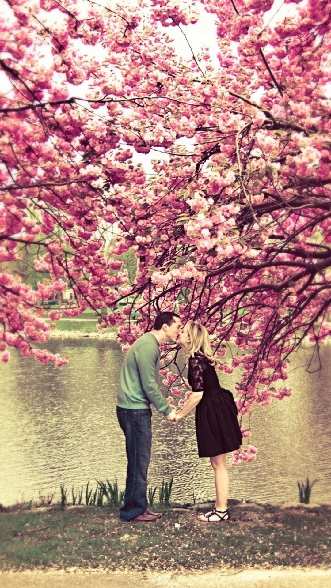 Wallpaper Cute Spring Iphone Resolution - Love Sweet Nature Wallpaper Hd - HD Wallpaper 