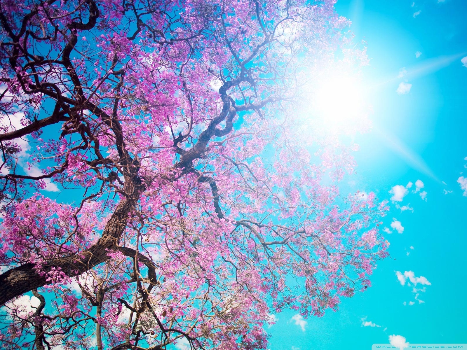 Spring Ipad Wallpaper Hd - HD Wallpaper 