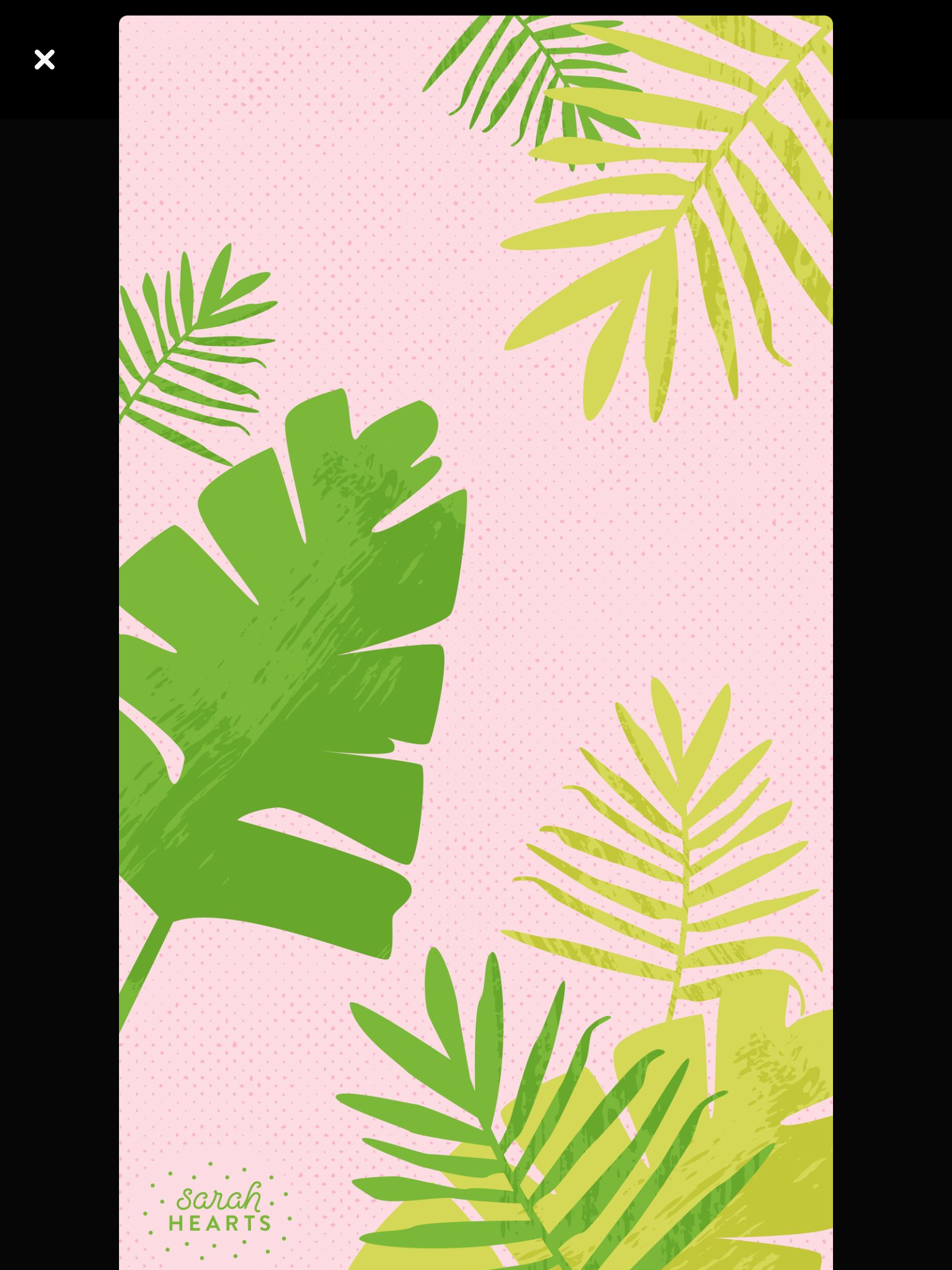 Palm Leaves Quote Background - HD Wallpaper 