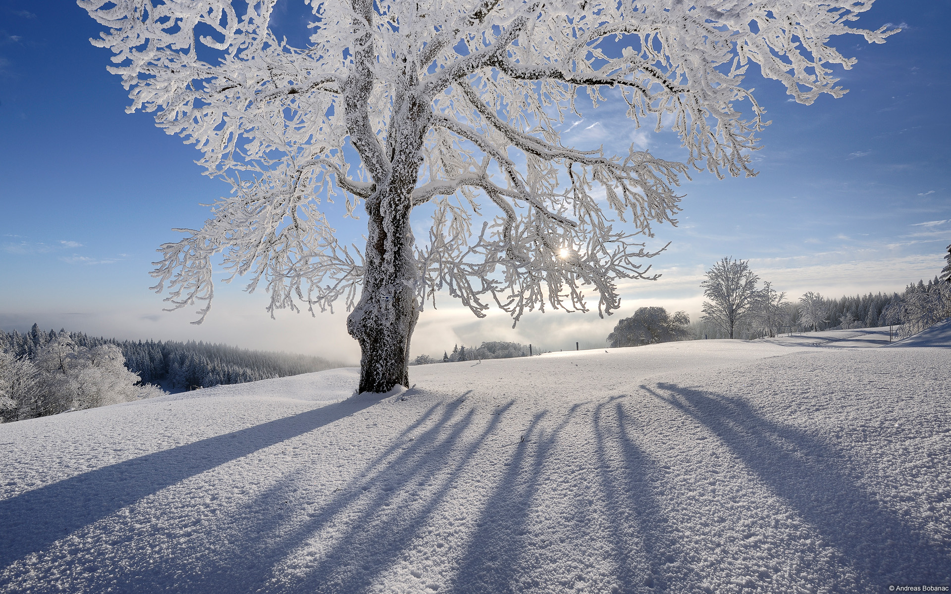 Cute Winter Wallpapers Wallpaper - Winter Free Desktop Backgrounds - HD Wallpaper 