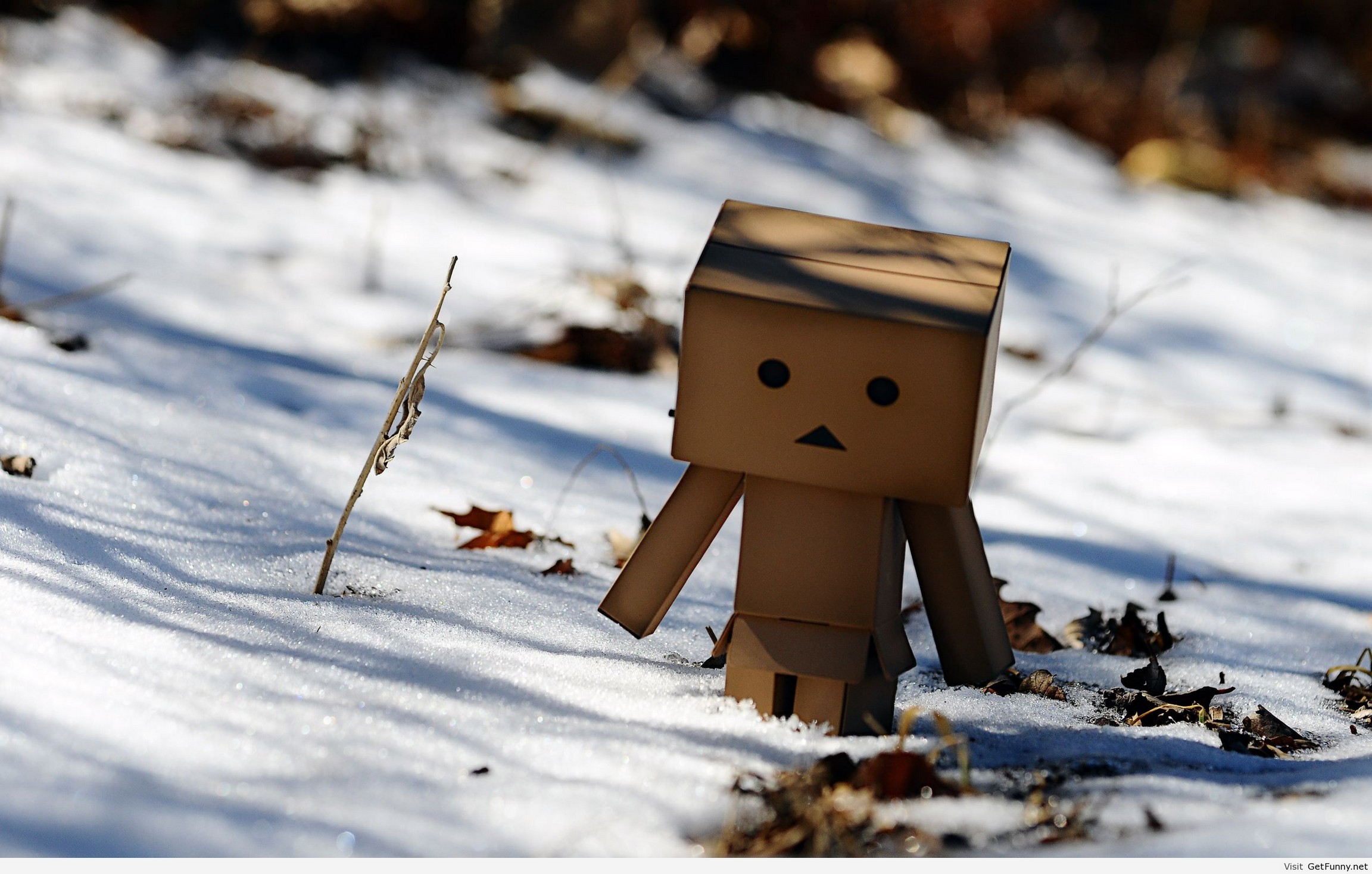 Winter Cute Wallpaper Hd - HD Wallpaper 