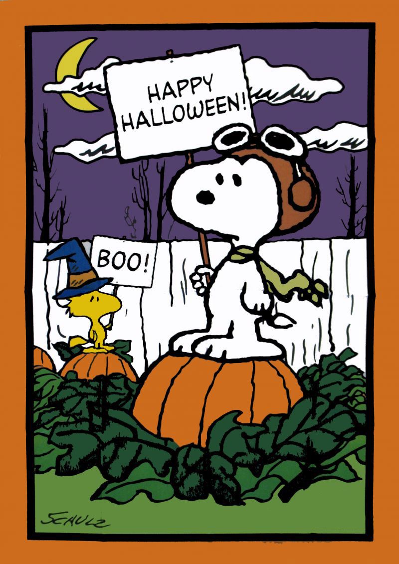 Snoopy Halloween Flag Wallpaper - Snoopy Halloween - HD Wallpaper 