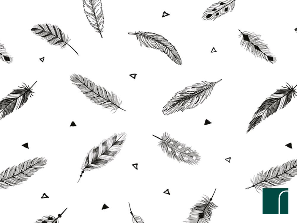 Motif Plumes - HD Wallpaper 