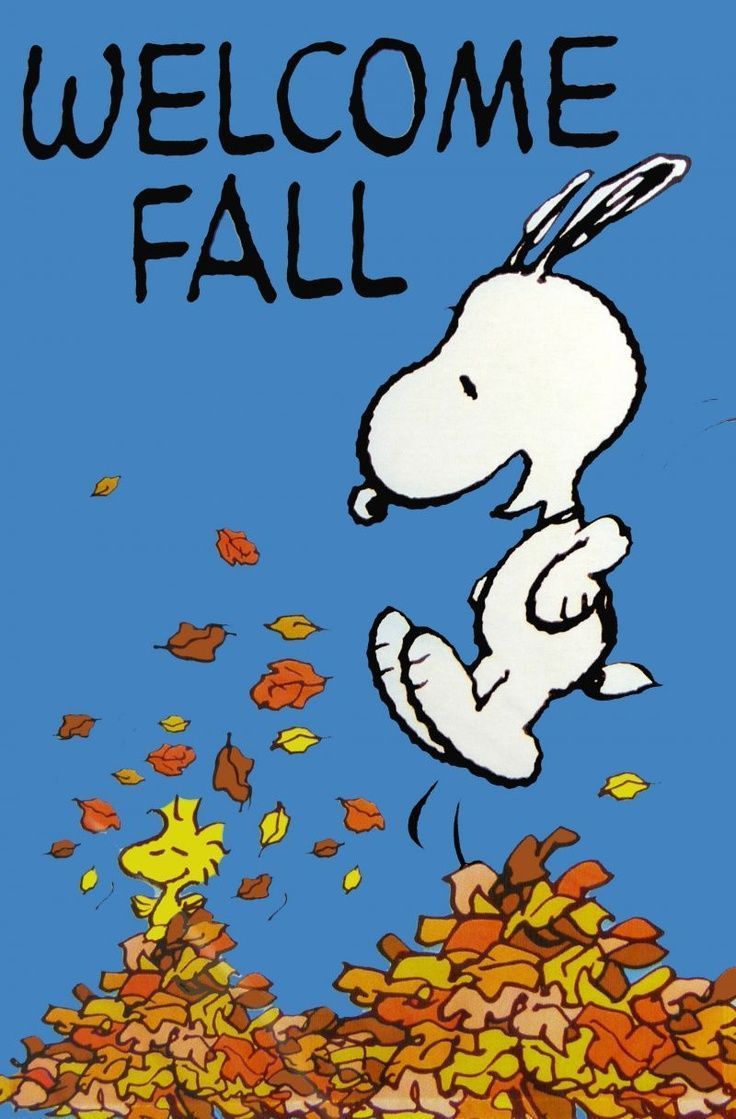 Snoopy Fall - 736x1119 Wallpaper 