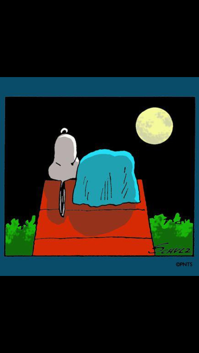 Goodnight Snoopy See More Peanuts Snoopy Pics At Www - HD Wallpaper 