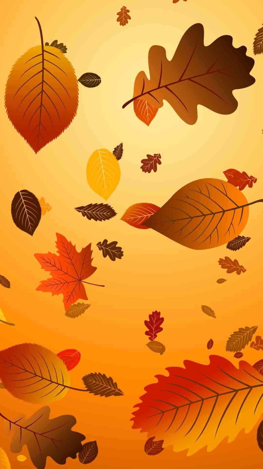 1080x1920, 
 Data Id 360840 
 Data Src /walls/full/5/3/f/360840 - Thanksgiving Wallpaper Iphone - HD Wallpaper 