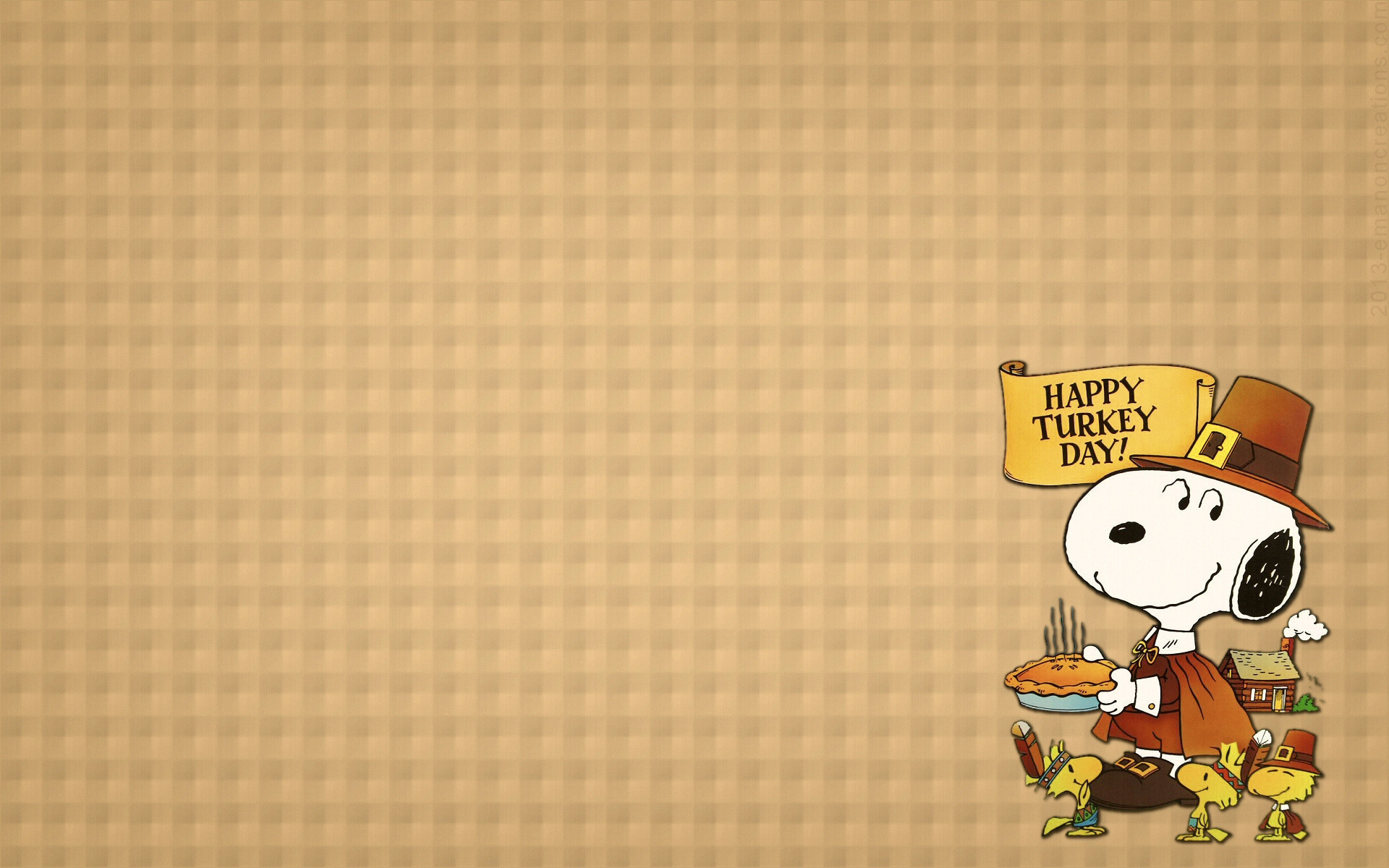 1920x1200, Res - Cute Thanksgiving Turkey Background - HD Wallpaper 