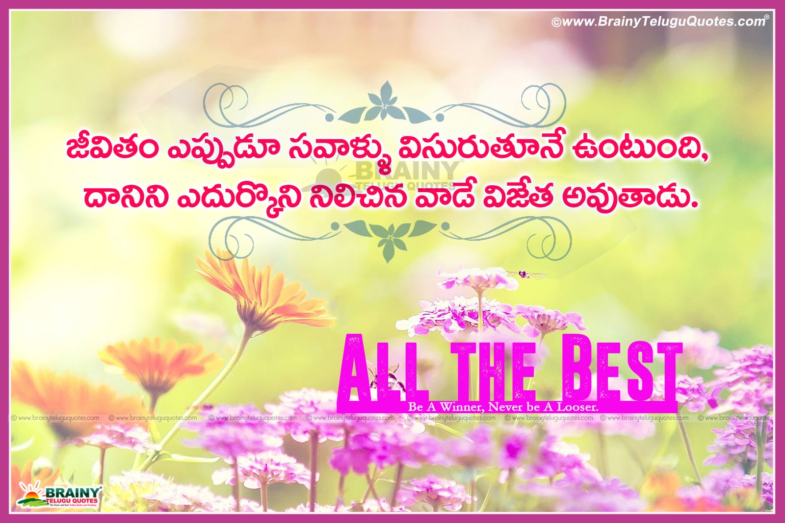 Best Of Luck Quotes In Telugu Language, Nice Best Of - Facebook Pure Romance Cover - HD Wallpaper 