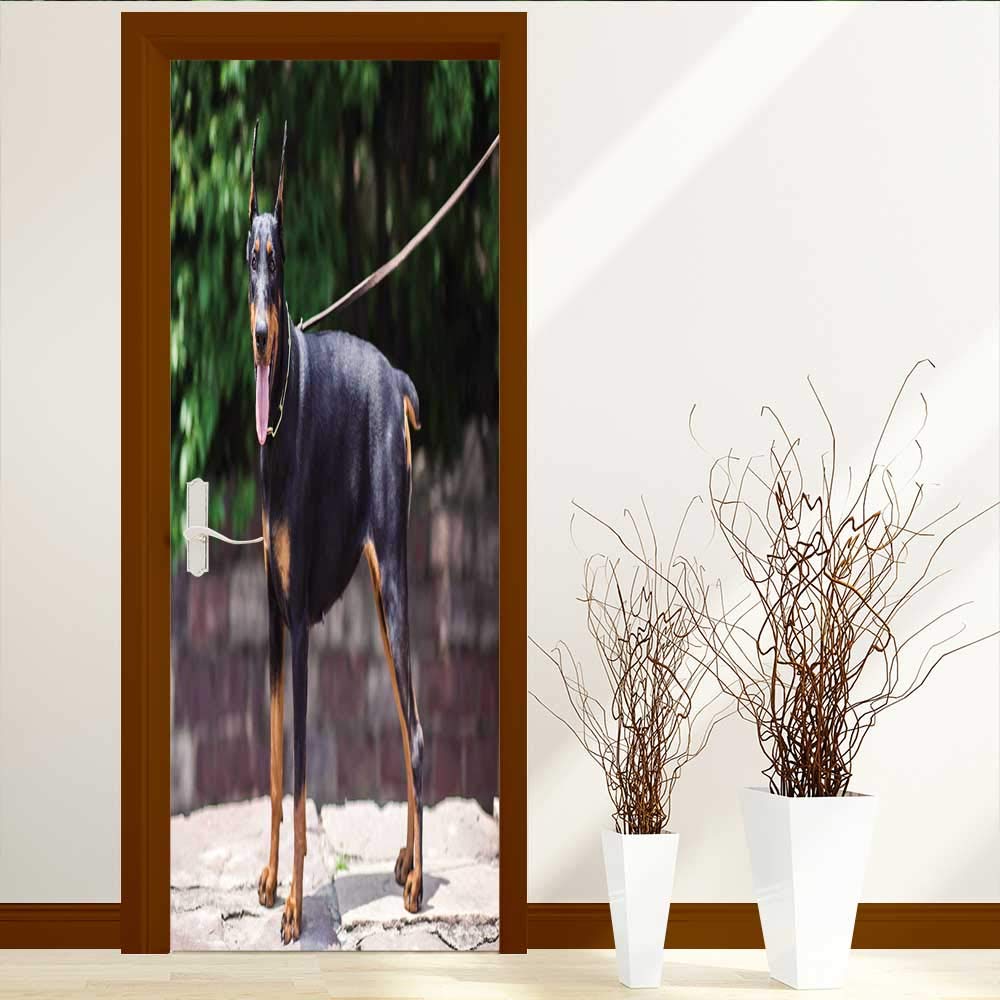 Picture Frame - HD Wallpaper 