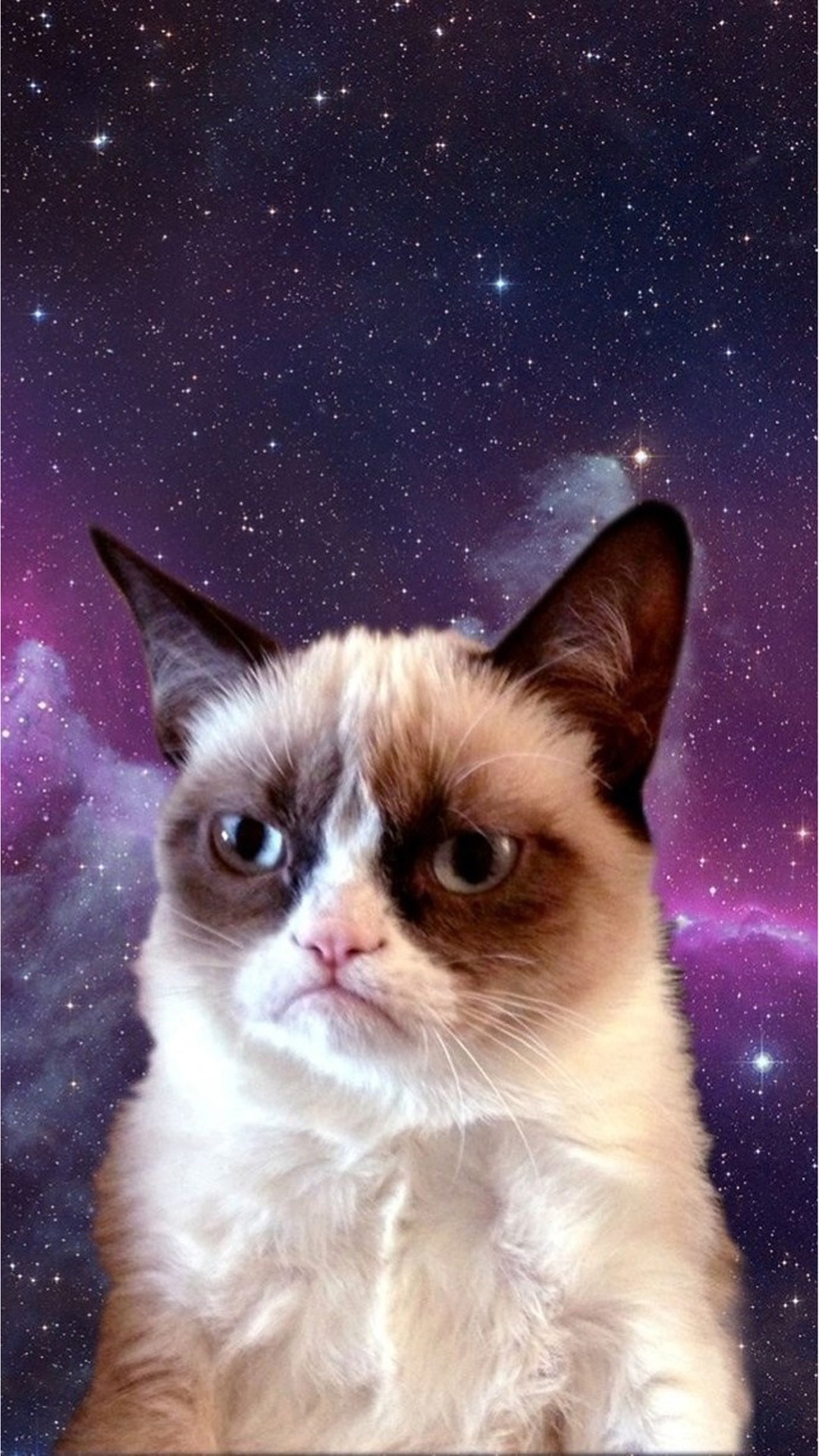 Interesting Iphone 6 Plus Archives - Grumpy Cat Phone Background - HD Wallpaper 