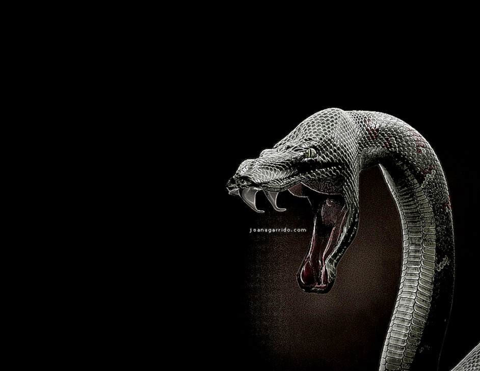 Fantasy Art Design Wallpapers Modern 3d Art Dark Fantasy - Snake - 942x729 Wallpaper Fantasy Art Design Wallpapers Modern 3d Art Dark Fantasy - Snake - 942x729 Wallpaper
