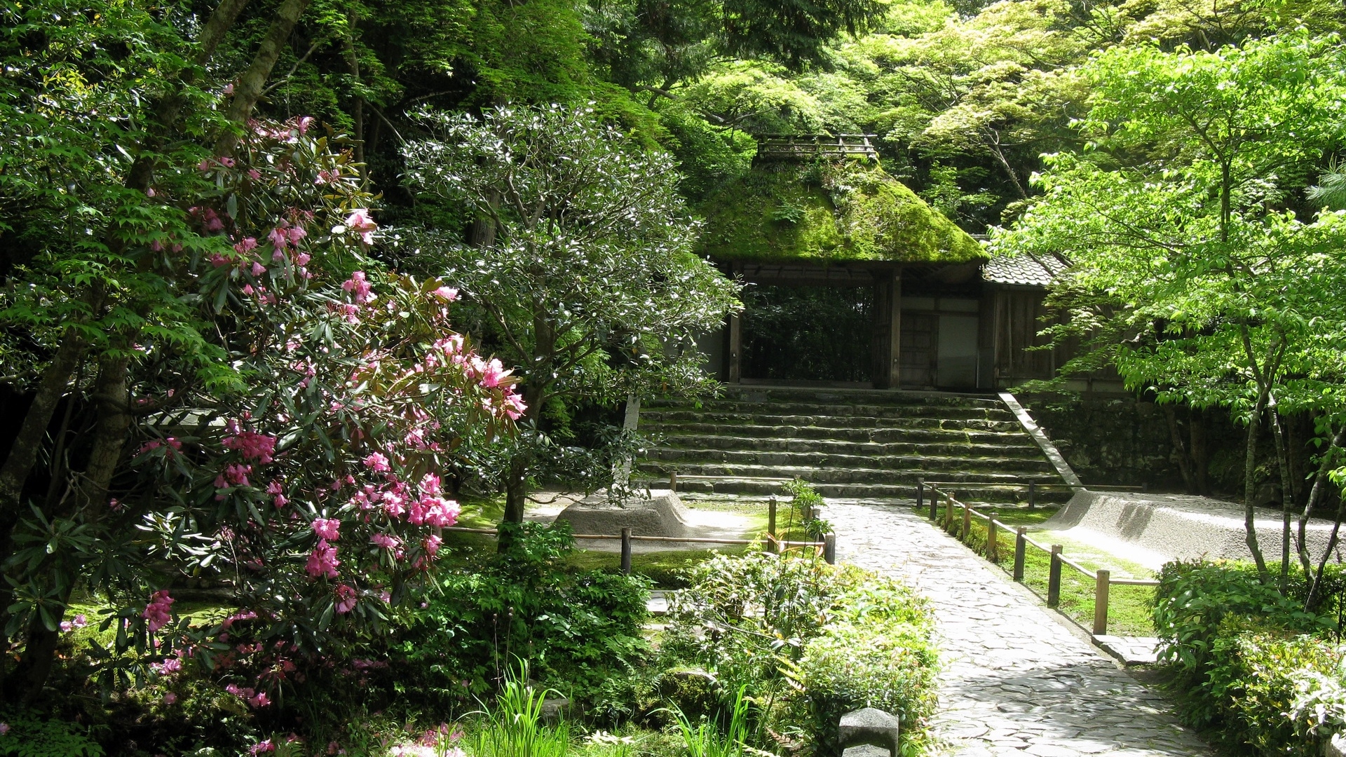 Wallpaper Path, Steps, Construction, Pond, Vegetation, - Education Wallpaper For Mobile - HD Wallpaper 