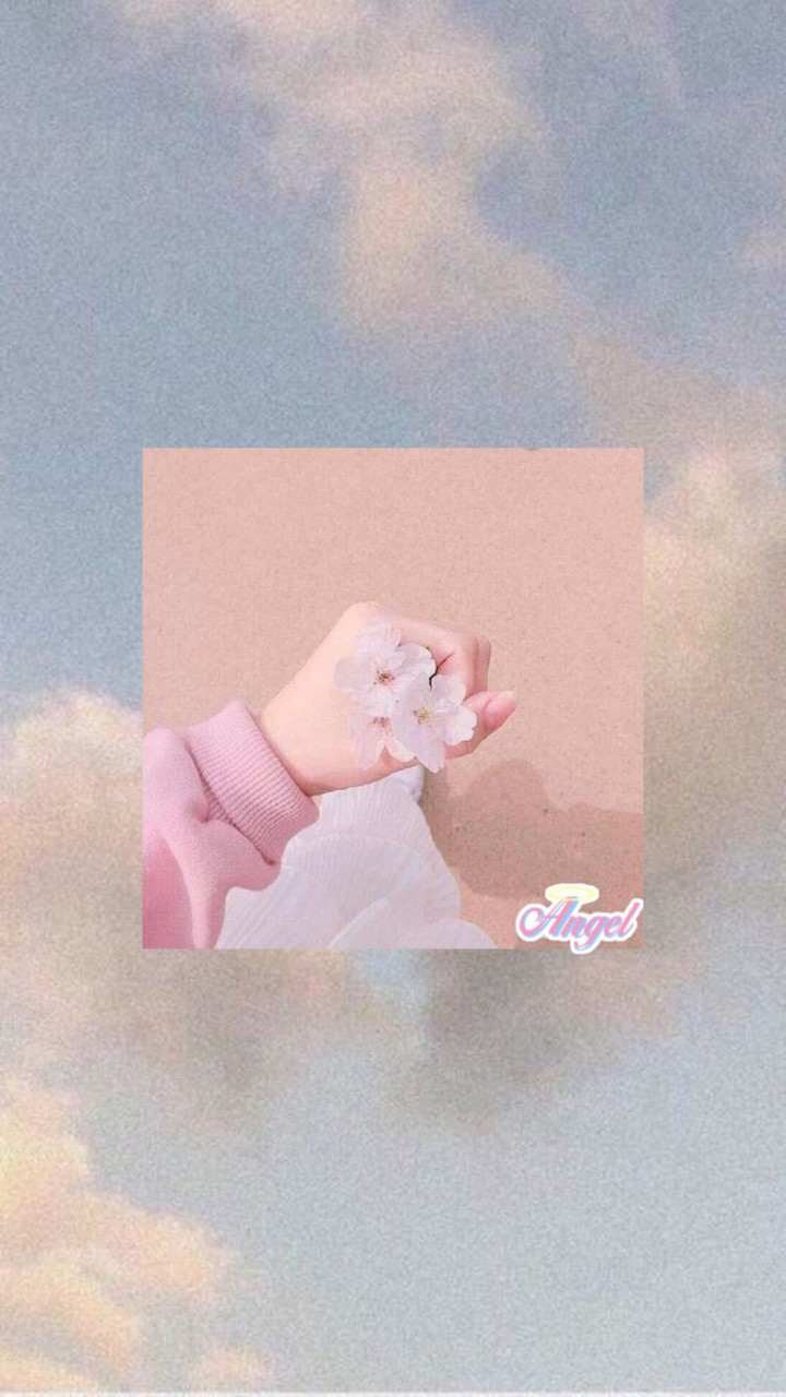 Wallpaper Wallpapers Pink Aesthetic Aestetictext Origami Paper 720x1280 Wallpaper Teahub Io