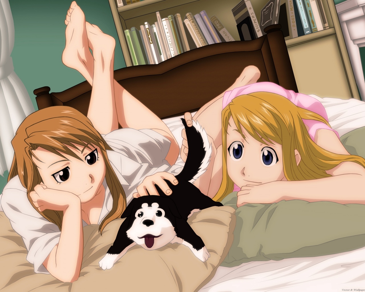 Full Metal Alchemist - HD Wallpaper 