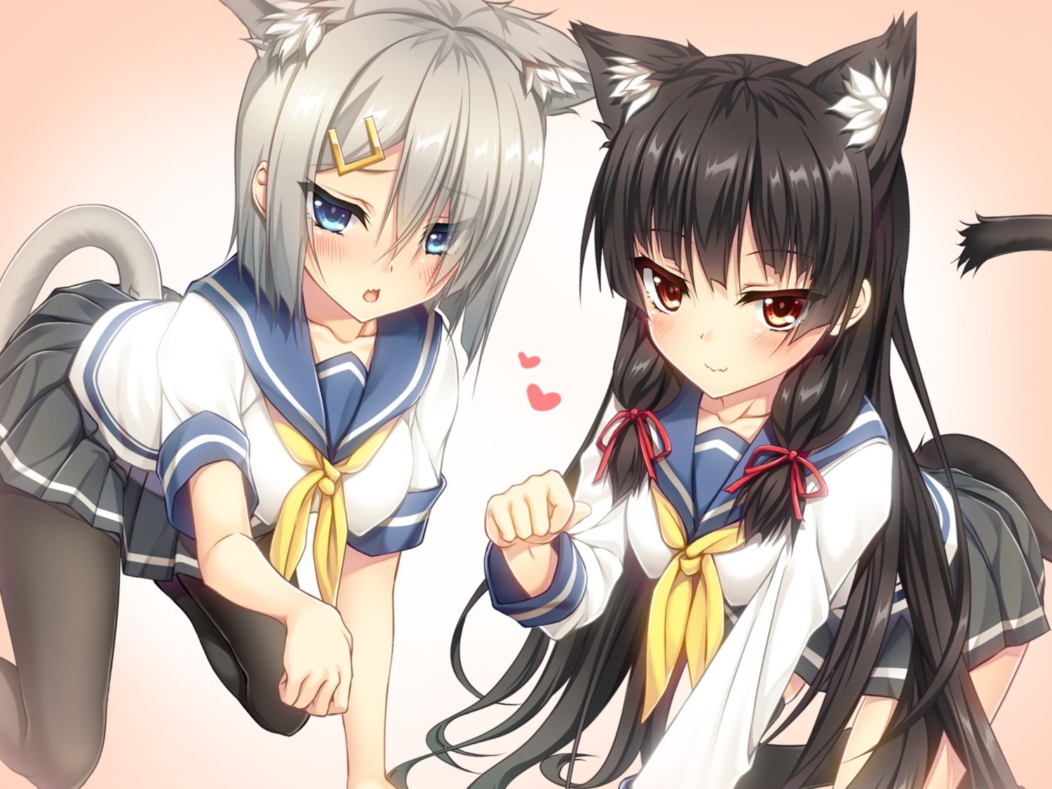 Cat Girl In School Uniform - HD Wallpaper 
