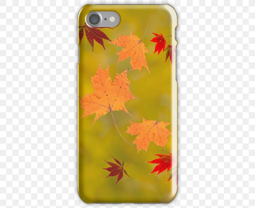 Odd Future Golf Wang Animation, Png, 500x667px, Odd - Mobile Phone Case - HD Wallpaper 