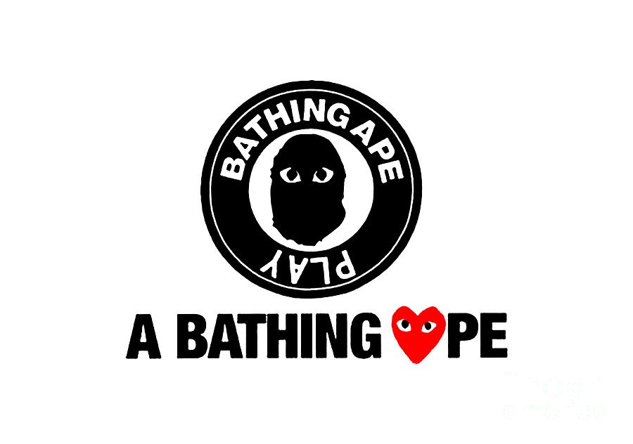 Amphibians - HD Wallpaper 