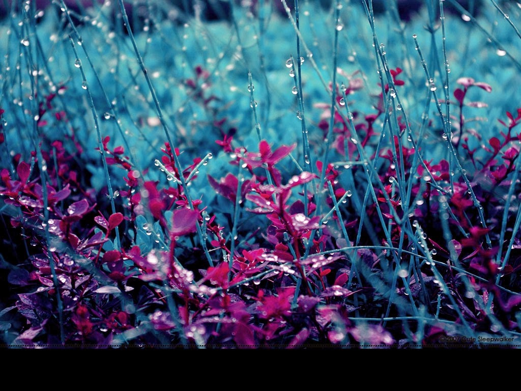 Hd Odd Future Wallpaper - Beautiful Rain Photography Wallpaper Hd - HD Wallpaper 