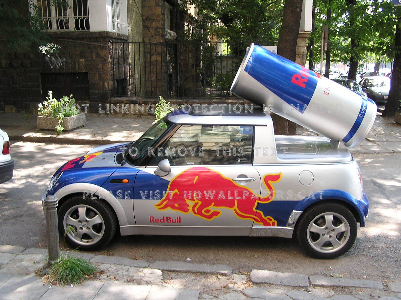Red Bull Drink Maruti Suzuki Swift Car - Mini Cooper Red Bull - HD Wallpaper 
