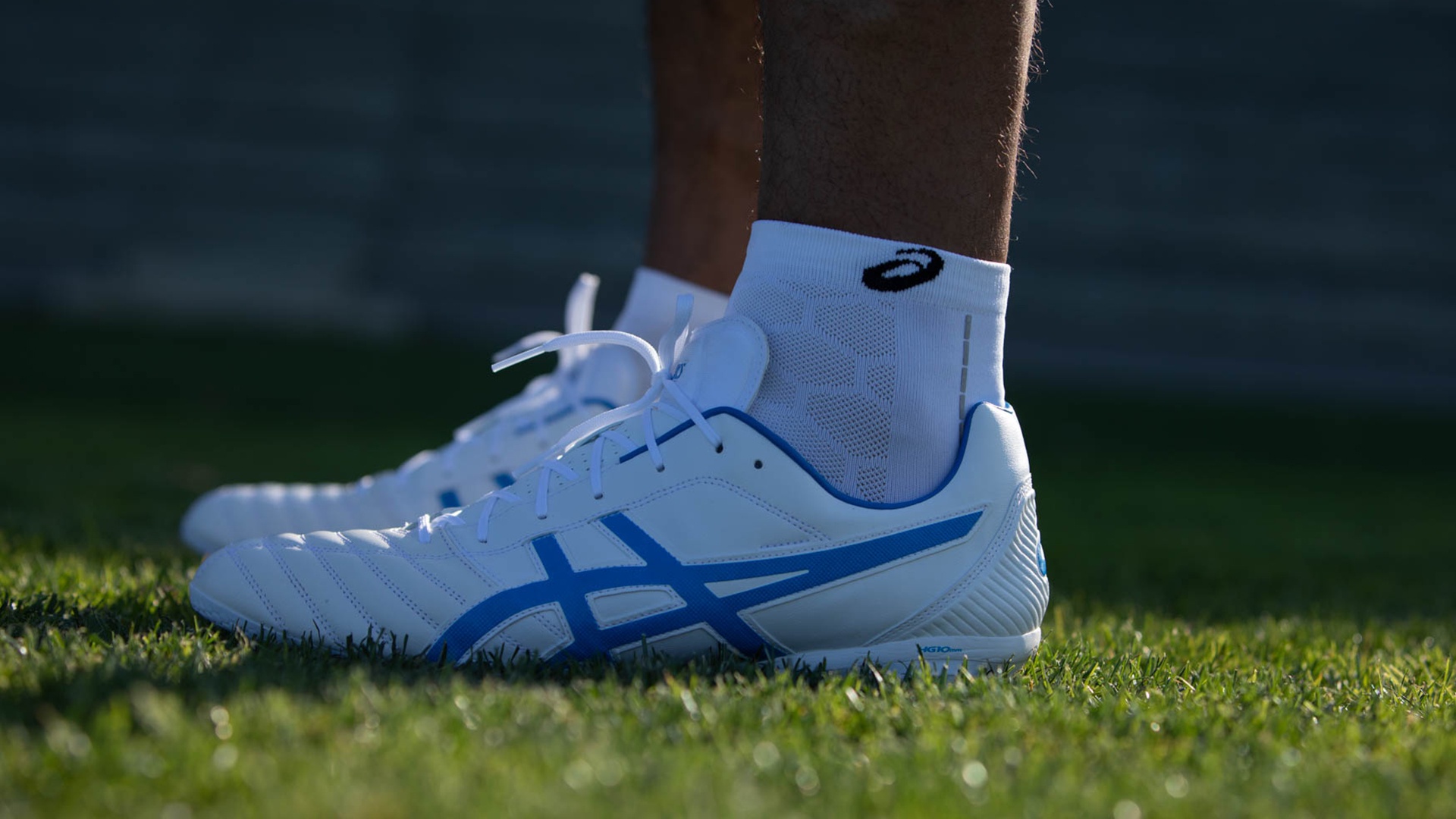 Products - Grass - HD Wallpaper 